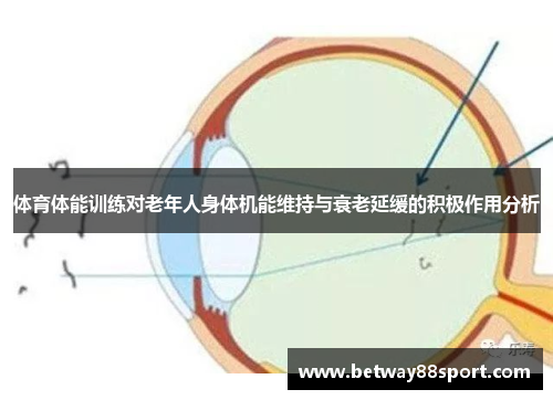 体育体能训练对老年人身体机能维持与衰老延缓的积极作用分析